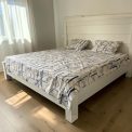 Čaršav Ranforce 100% pamuk 220x240cm bez lastiša dezen C11